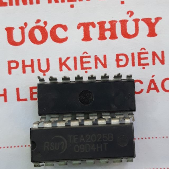 10c IC TEA 2025