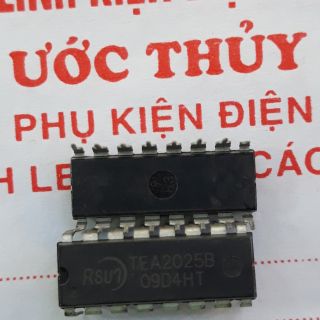 10c IC TEA 2025