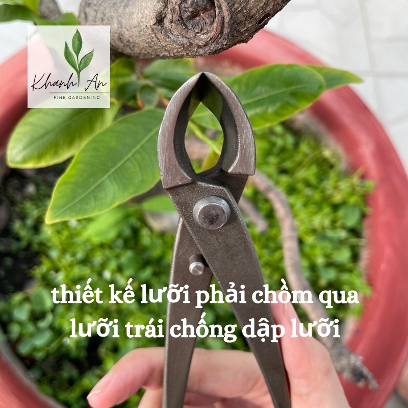 Kìm cạp xéo Nhật bonsai chuyên nghiệp, thép hợp kim/ Kềm cạp xéo thép đen dài 21cm, hàng chất lượng cao