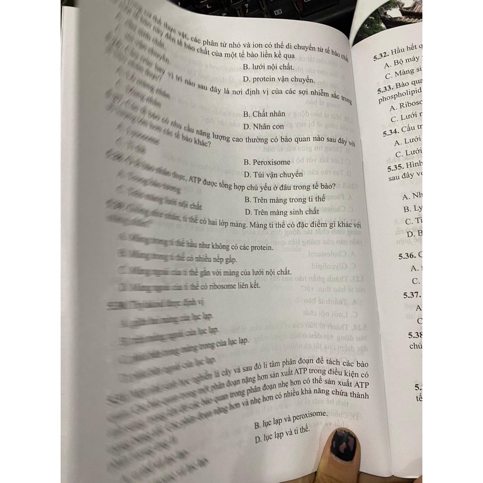 Sách - Bài tập sinh học 10 ( cánh diều ) + bán kèm 1 cuốn tô màu 15k