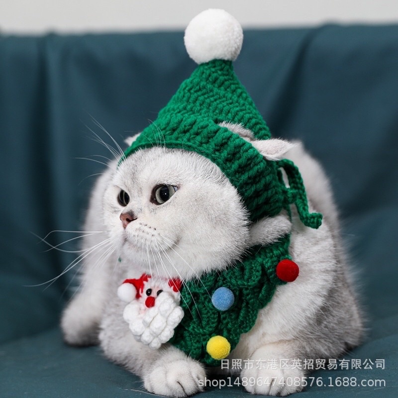 set noel cho mèo