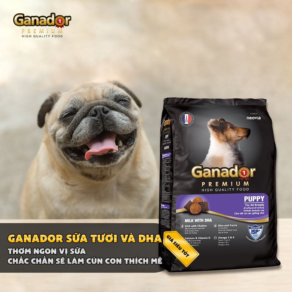 Thức Ăn Cho Chó Con Ganador Puppy 400g Hạt Khô Vị Sữa Và DHA