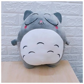 Gấu Bông Totoro Biểu Cảm - Kích Thước 40cm - Siêu Mềm, Siêm Êm
