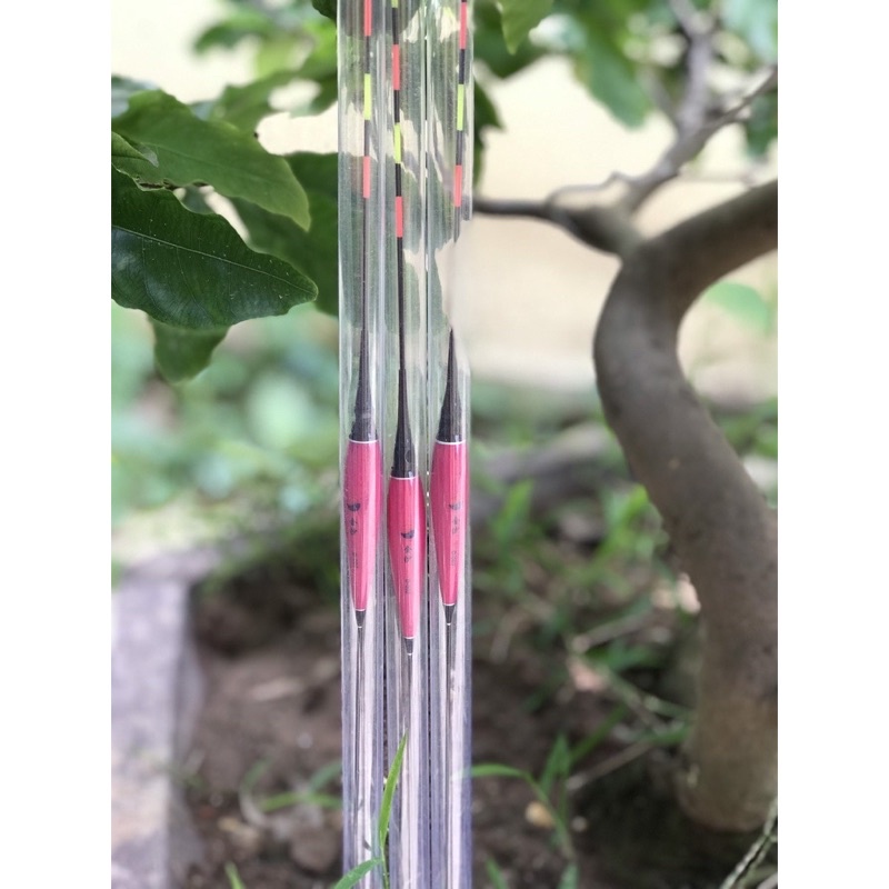 Phao Đêm Câu Đài, Phao Câu Đài Ban Đêm Cao Cấp