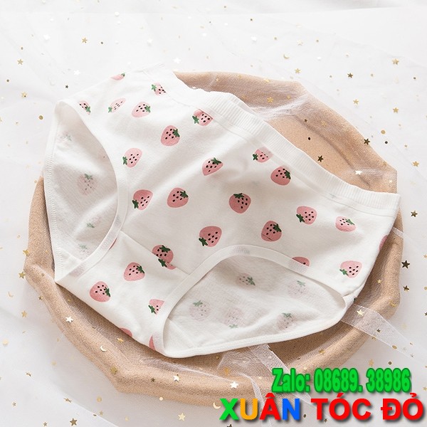 SỈ ZALO RẺ HƠN NHIỀU_ Quần Lót 5 Kiểu Dâu Tây Hồng Mới 5048 | BigBuy360 - bigbuy360.vn