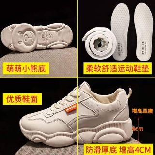 Thể thao gấu có ảnh thật