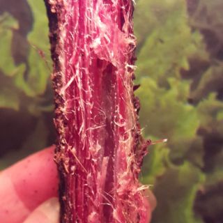 Thịt trâu quê, trâu núi, bò núi gác bếp 1kg,chuẩn vị Tây bắc thơm lừng mắc khén kèm chẩm chéo
