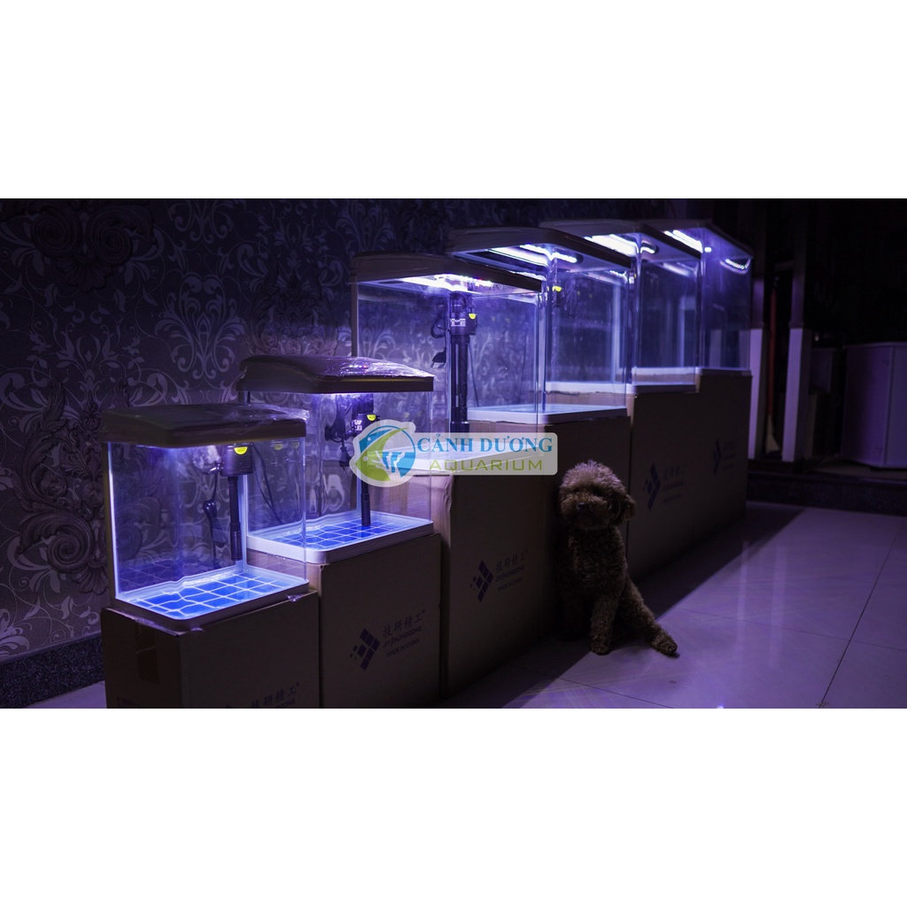 Hồ Cá Mini Để Bàn XS-620