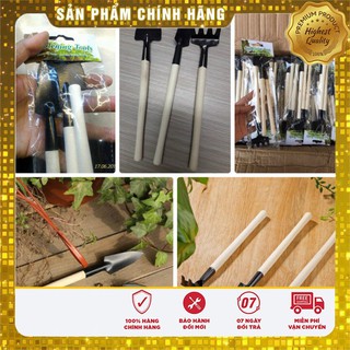 Bộ dụng cụ làm vườn 3 món mini