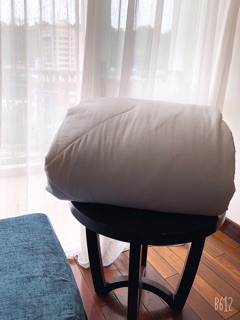 Ruột chăn đông MUJI