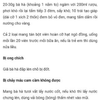 Cây bạc hà( 3 cây)