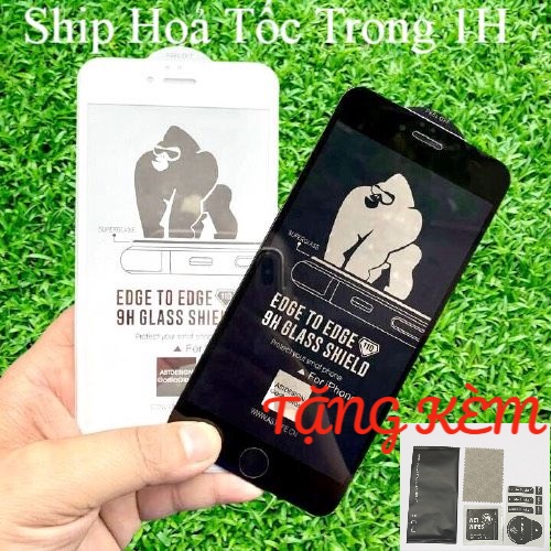 🔥Loại Xịn🔥Kính cường lực iphone King Kong 6plus/6s/6splus/7/7plus/8/8plus/plus/x/xr/11/12