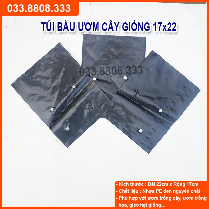 1KG TÚI BẦU VUÔNG ĐEN DÙNG ƯƠM CÂY ( SIZE 17X22CM) - CHẬU ƯƠM CÂY GIÁ RẺ