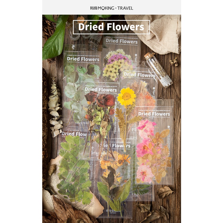 Set 6 Tấm Hình Dán Họa Tiết Hoa Lá Trang Trí Sổ Tay Nhật Ký DIY