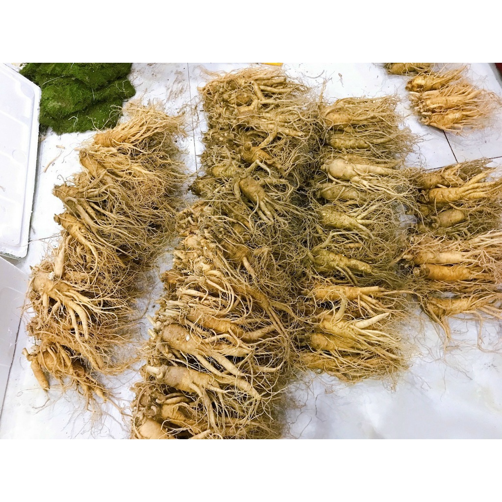 Nhân Sâm Tươi Hàn Quốc loai 8 Củ- 1kg, 1ký bọc vải lụa