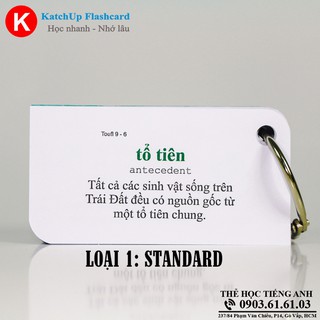 Flashcard Tiếng Anh TOEIC (600 từ) – 3 loại giấy