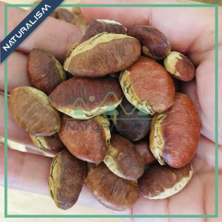 Hạt Konia sống | rang - kơ nia, hạt cày