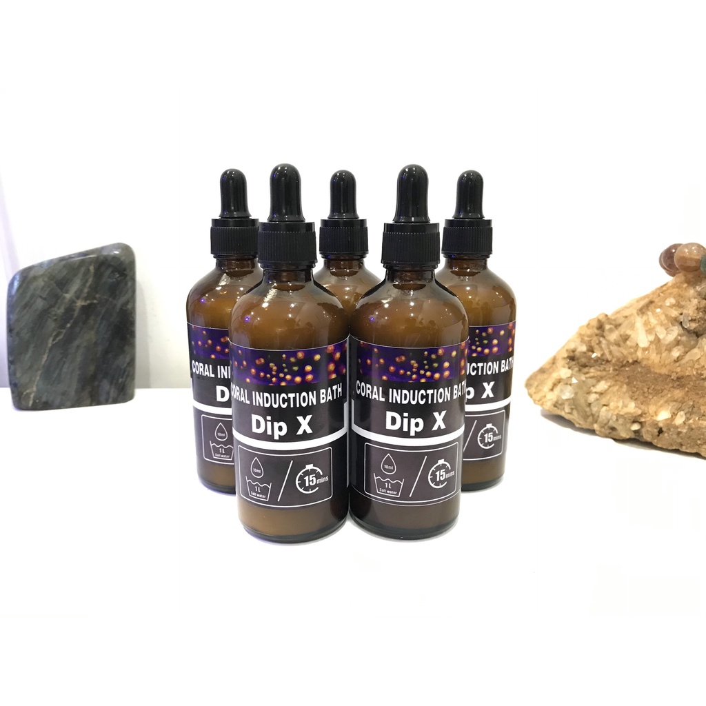 DIP SAN HÔ DIPX 100ML - REDSEA