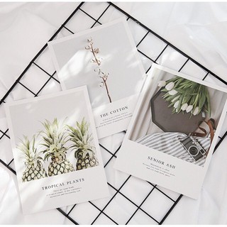 D1 Bìa tin báo decor chụp ảnh thời trang 5 1
