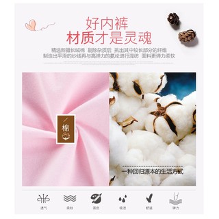 Hộp 5 quần lót dể thương