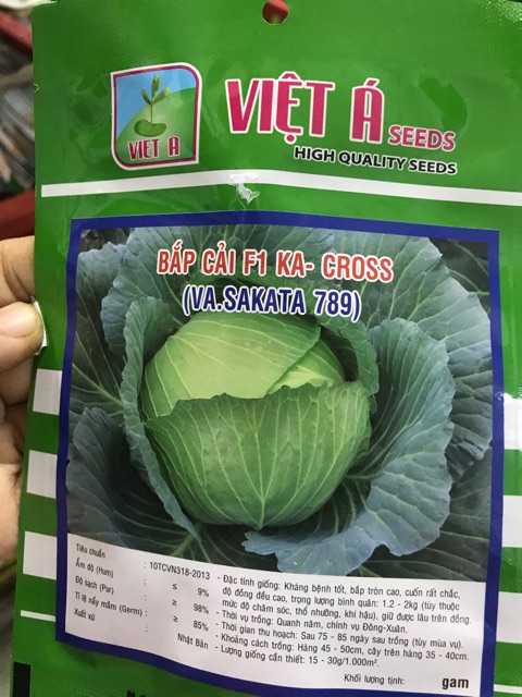 Bắp cải F1 KA-CROSS SAKATA 789- gói 1 gam