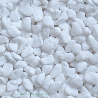 1 kg Sỏi trắng trang trí chậu cây, vườn hoa, tiểu cảnh cỡ 8-15mm (~1-1,5cm)