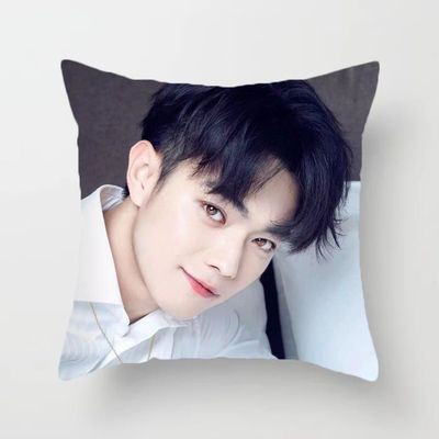 Gối IN HÌNH Hứa Khải gồm cả vỏ và ruột chất đẹp tiện lợi idol thần tượng cpop