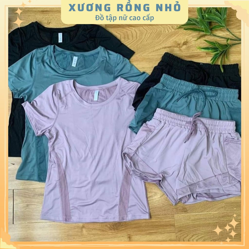 Đồ thể thao nữ, bộ đồ tập gym nữ chất thun lạnh phối lưới, tôn dáng
