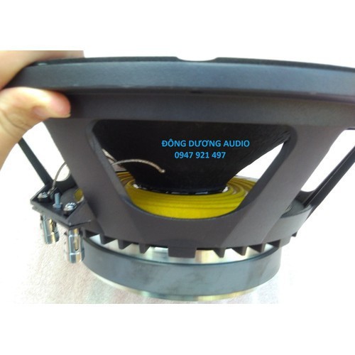 BASS 30 DK GÂN VẢI HÀNG NHẬP CHẤT LƯỢNG KARAOKE TỐT - GIÁ 1 ĐÔI - HDSBS101KK3