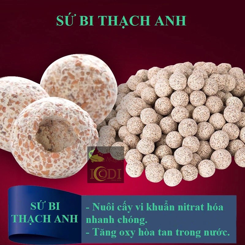 Sứ Bi Thạch Anh - Sứ Bi Đài Loan