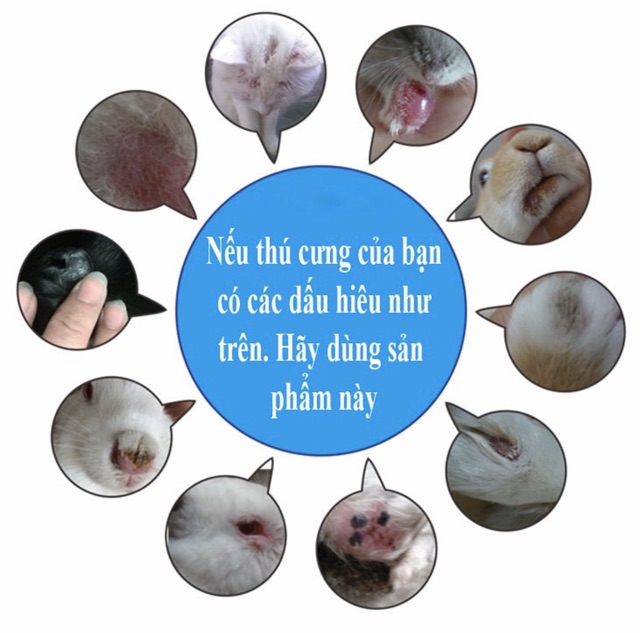 Chai xịt diệt khuẩn
