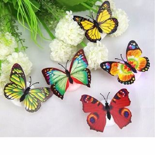 Combo 5 đèn led bướm 3d phát sáng