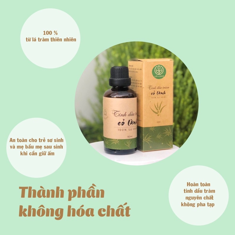 TInh dầu tràm Cỏ Lành 50ML