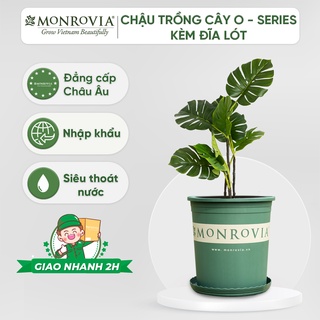 Chậu trồng cây MONROVIA, kèm đĩa lót, cây cảnh mini, trồng rau, hoa, để bàn, treo ban công, nhập khẩu Châu Âu