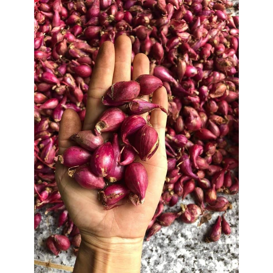 [Mã 267FMCGSALE giảm 8% đơn 500K] Hành Tím Lý Sơn Quảng Ngãi 0.5KG | BigBuy360 - bigbuy360.vn