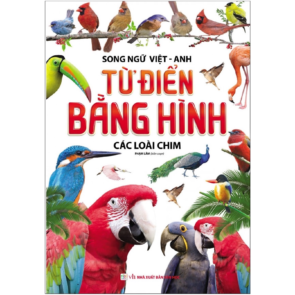 Sách - Từ Điển Bằng Hình - Các Loài Chim (Song Ngữ Việt - Anh)