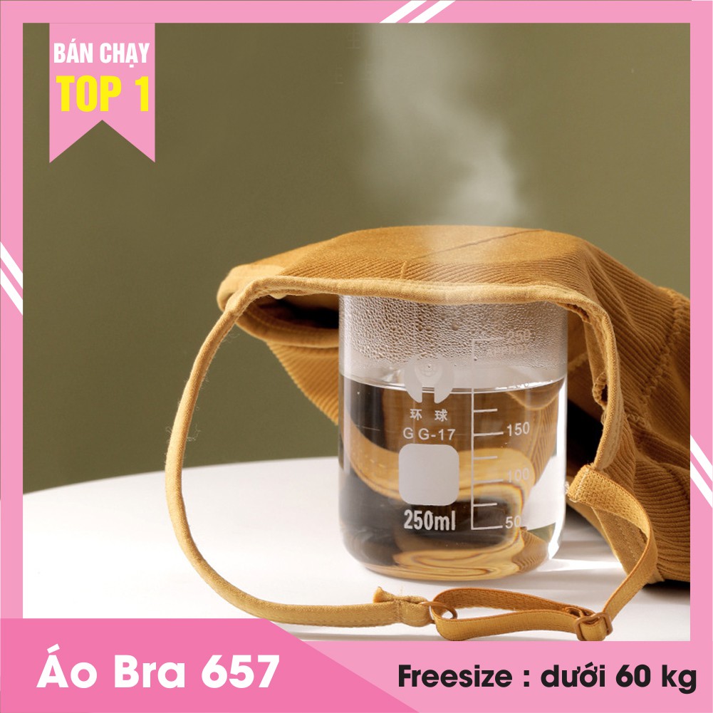 Áo bra nữ hình hoa cúc hàng Quảng Châu loại 1