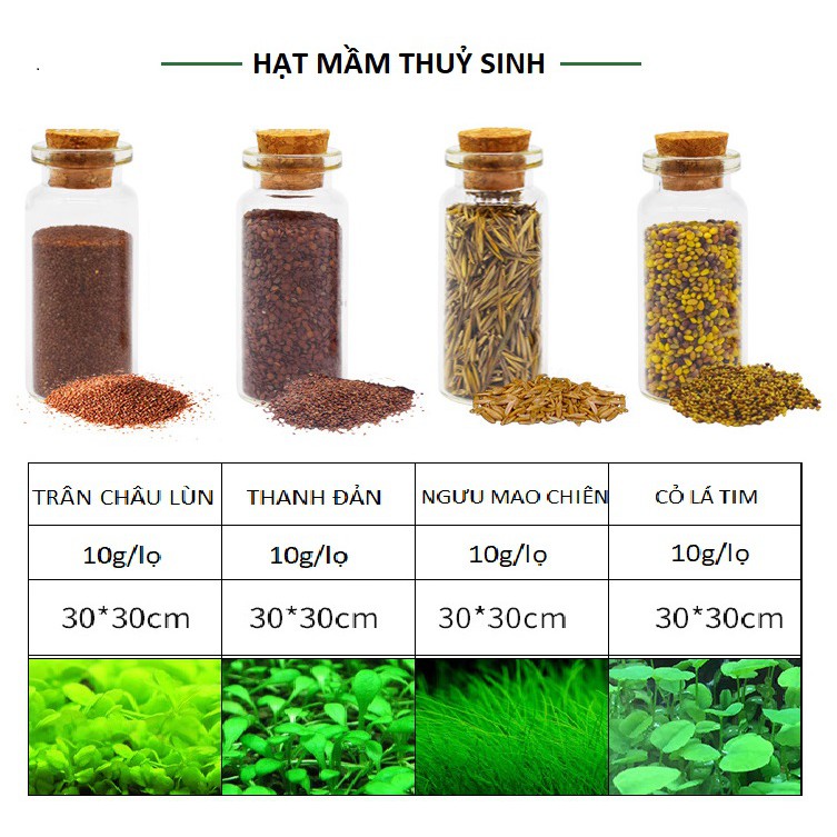 Hạt Mầm Thuỷ Sinh | Trân Châu Lùn | Ngưu Mao Chiên | Cỏ Lá Tim - Hạt giống thuỷ sinh [10gr]