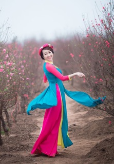 Áo dài tứ thân