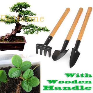 3 dụng cụ trồng cây trong vườn