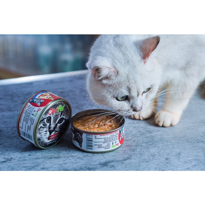 Pate ONE PET Cho Mèo Vị cá ngừ rau củ Pate Dinh Dưỡng Cho Mèo ONE PET 150Gram