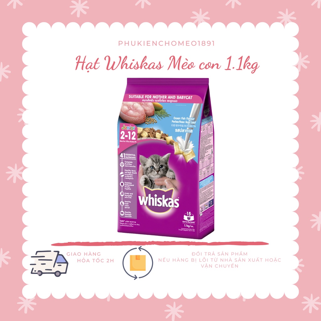 Thức ăn cho mèo con dạng hạt vị cá biển với sữa 1.1kg