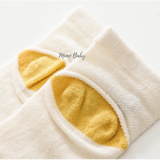 Set 3 đôi tất lưới thoáng khí cao cổ in hình dễ thương cho bé T29 Mimo Baby