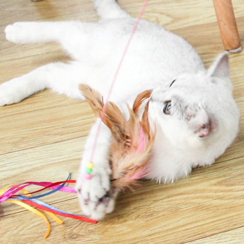 Gậy lông vũ vui nhộn cho chơi với mèo