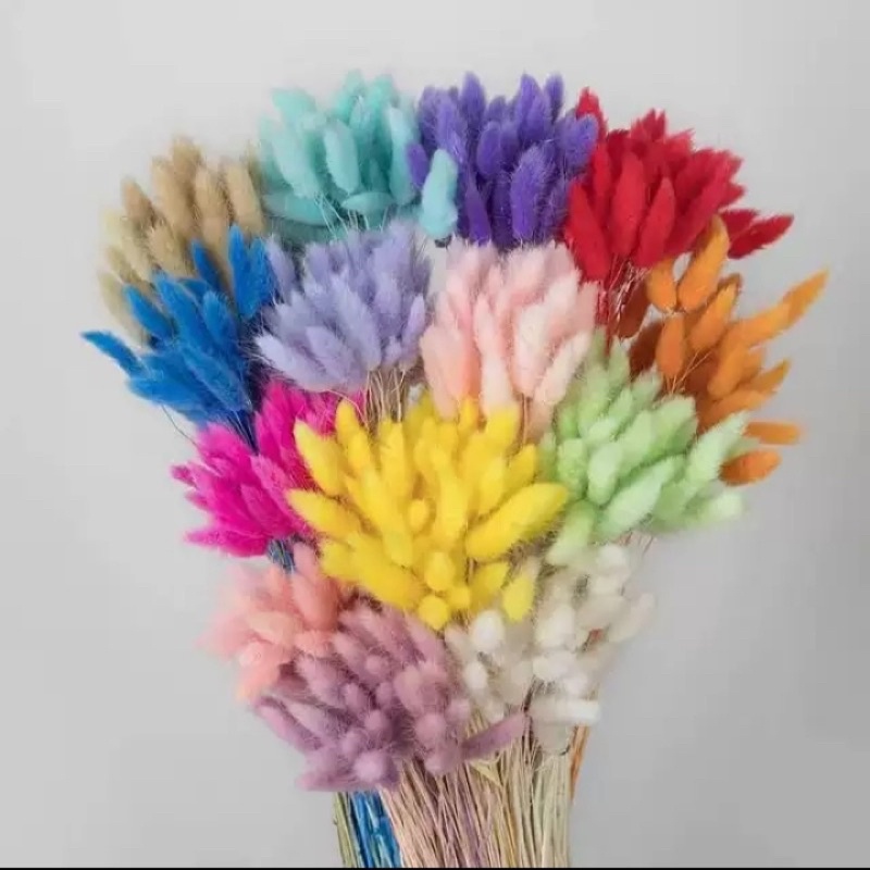 5 hoa đuôi thỏ decor giá mềm- có nhiều màu dùng decor trang trí