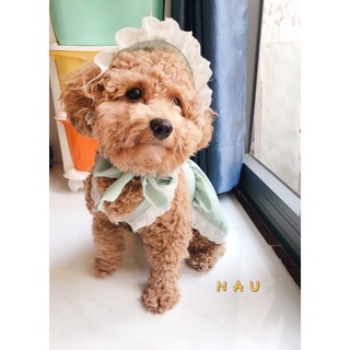 Đầm cô hầu gái cho chó mèo hàng thiết kế siêu rẻ
