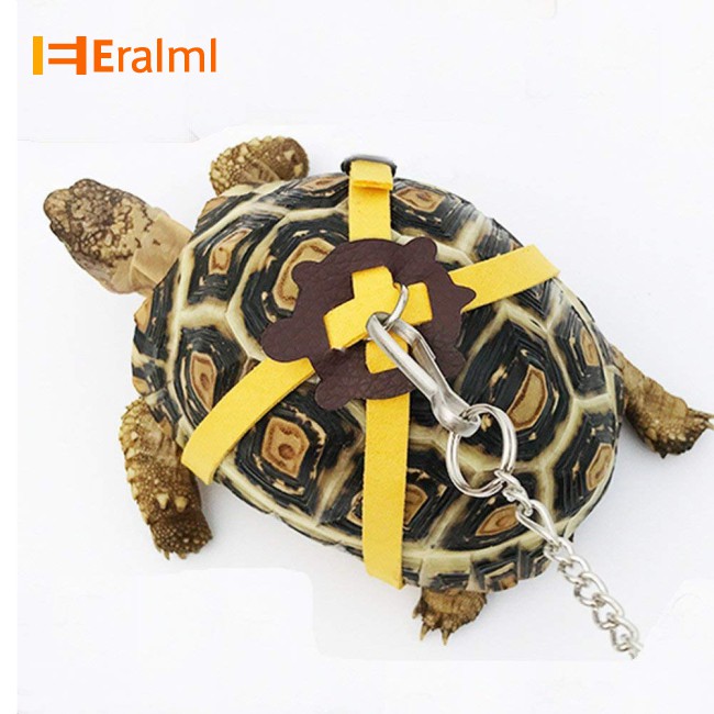 Dây Dắt Thú Cưng Đi Dạo Tiện Lợi