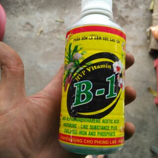 B1 VÀNG HVP chuyên dùng cho lan và hoa kiểng