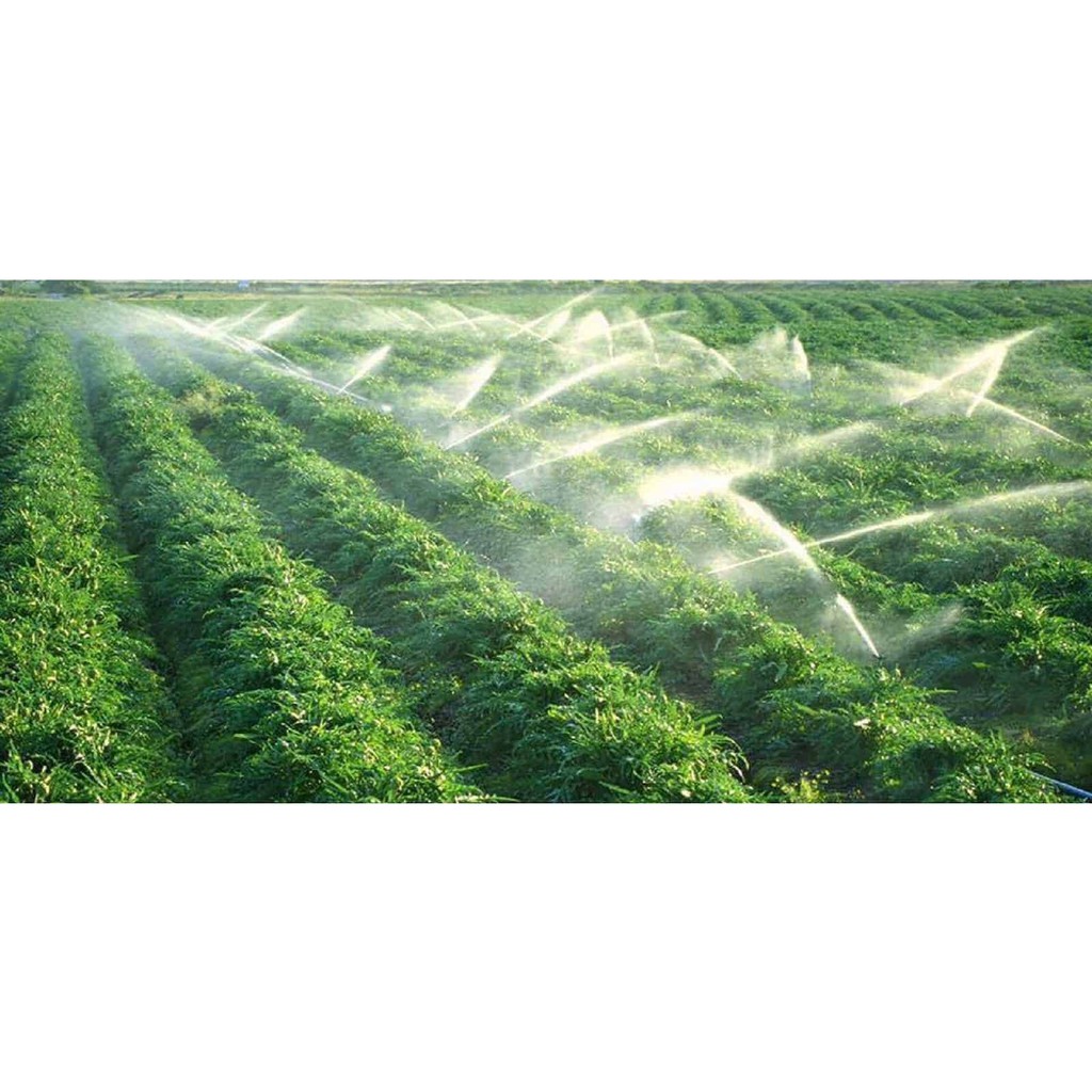 GIÁ SỈ: BỘ 1 BB-908 BÉC CÁNH ĐẬP NHỎ 2 TIA MALAYSIA RN 21-27