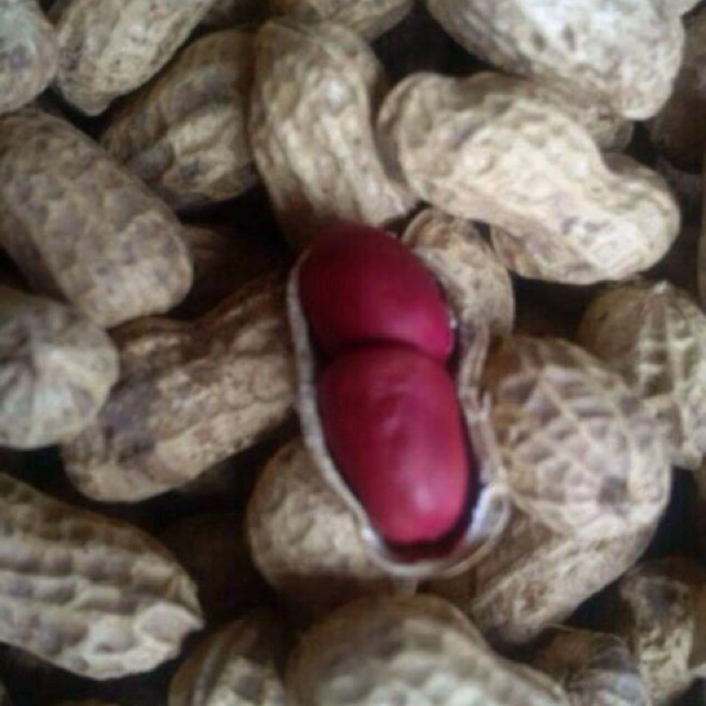 5kg lạc đỏ Nam Định lạc quê đúng điệu